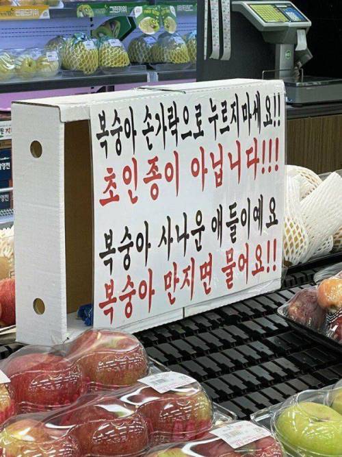 맛뜨레 이미지