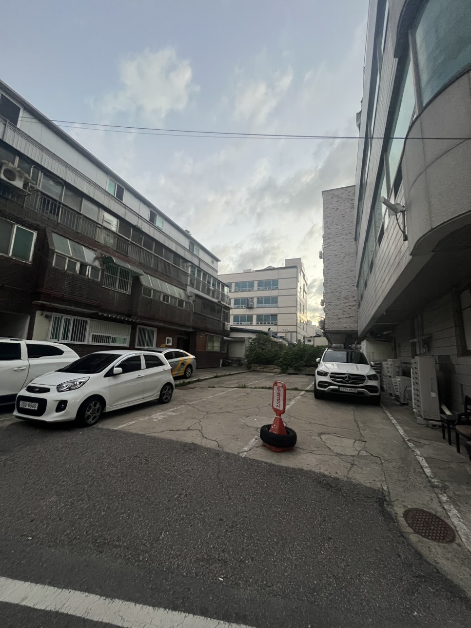 육회한사시미 이미지