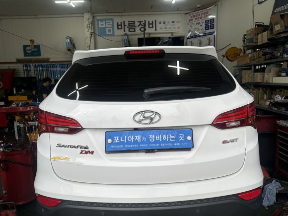 포니카센타 이미지