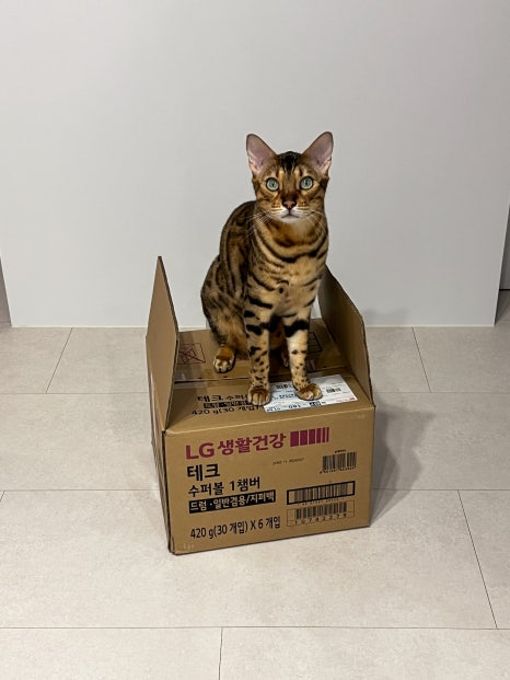 호동이푸드 이미지