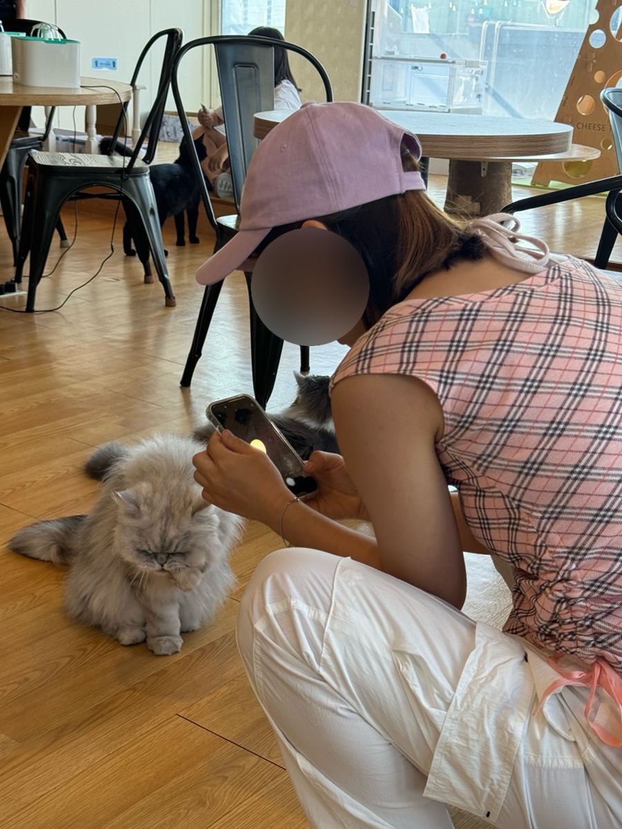 미가양꼬치 이미지