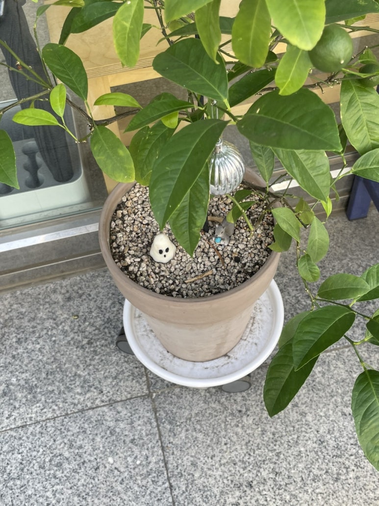 희야네인테리어 이미지