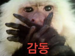 자연산회통영붕장어 이미지