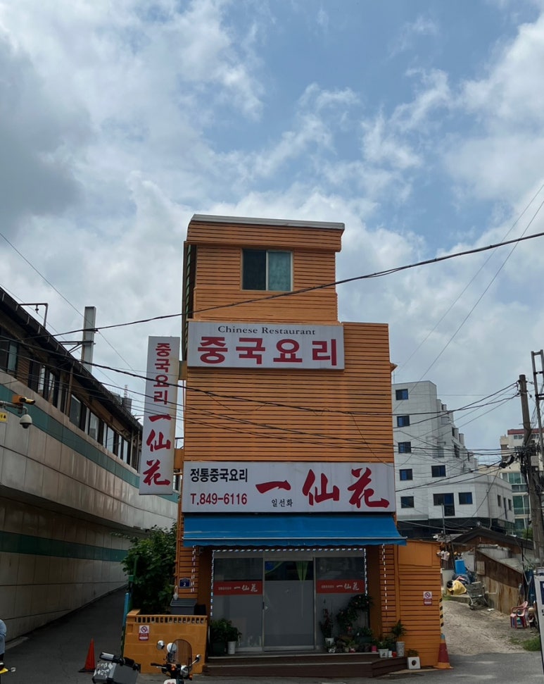 일선화 이미지