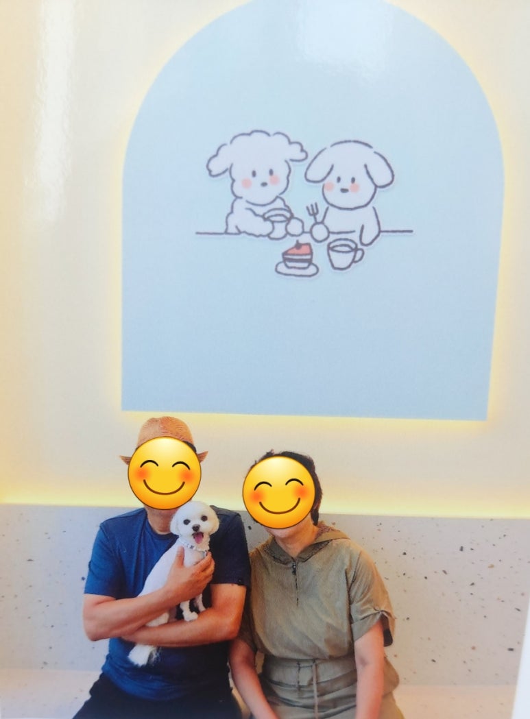 몽쉘댕댕 이미지