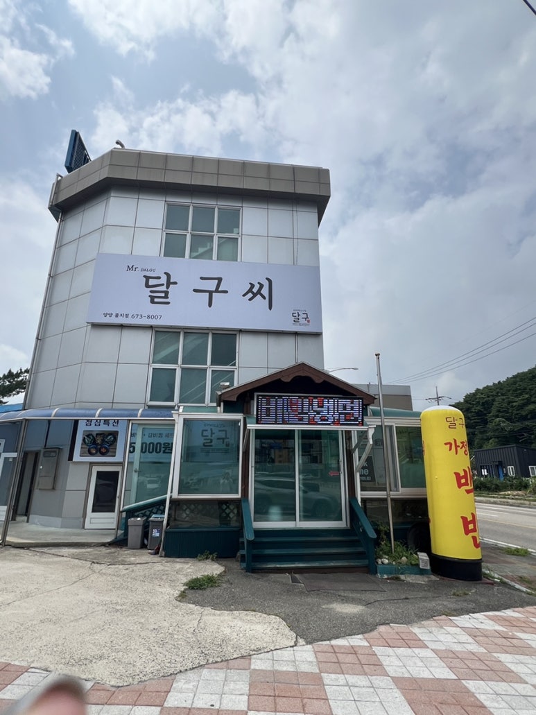 달구씨 이미지