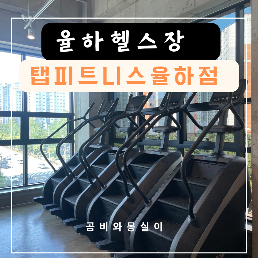 탭피트니스 이미지