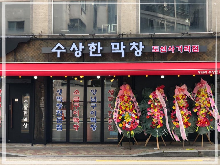수상한막창도선 이미지