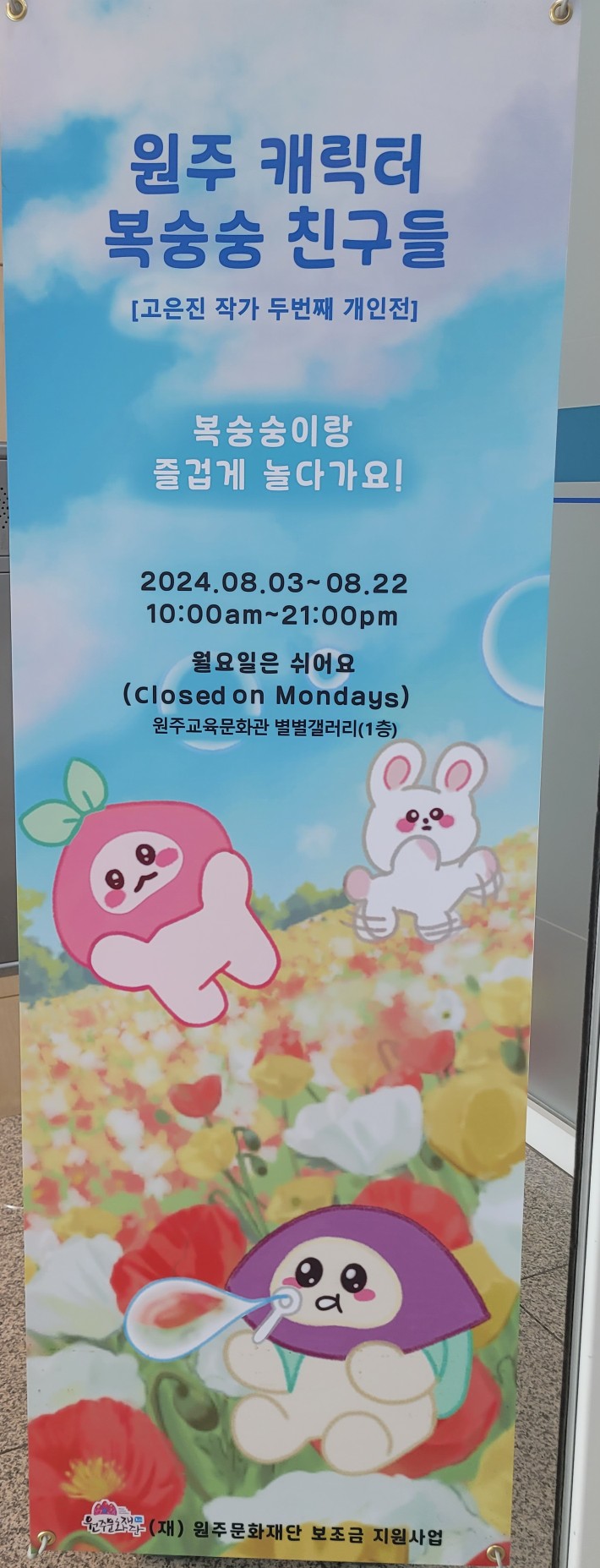 한국피오레평생교육원 이미지