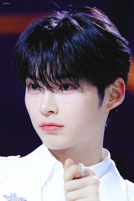 참조아 이미지