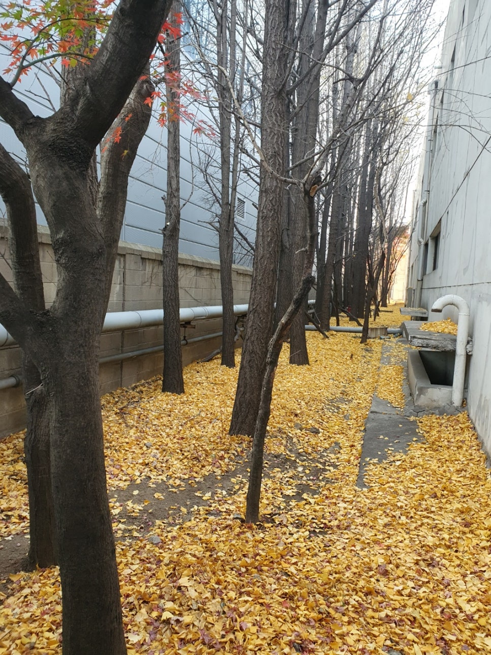 세진종합관리 이미지