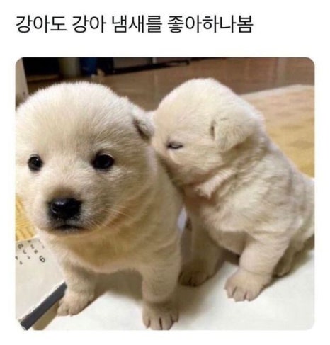 없음 이미지