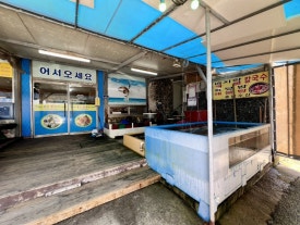 드르니캠핑장 이미지