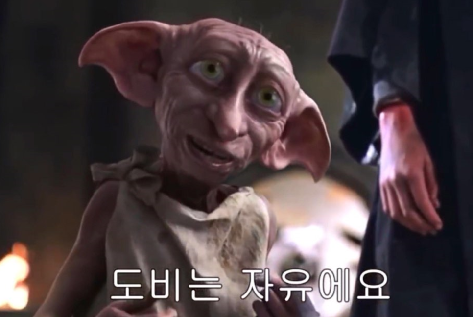 도비의선물 이미지