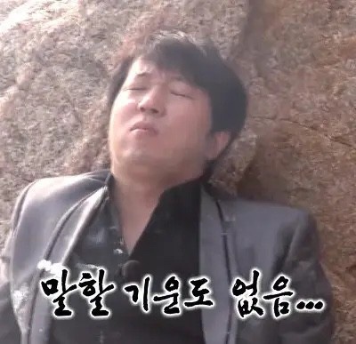 다니소바 이미지