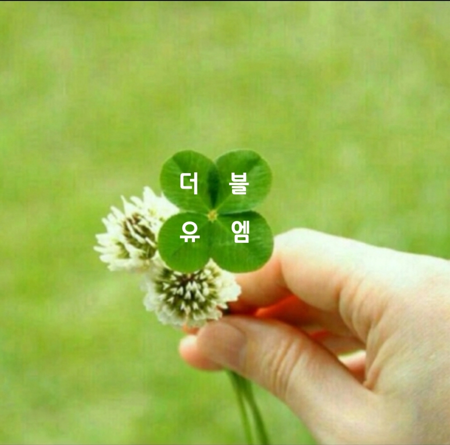 더블유엠 이미지