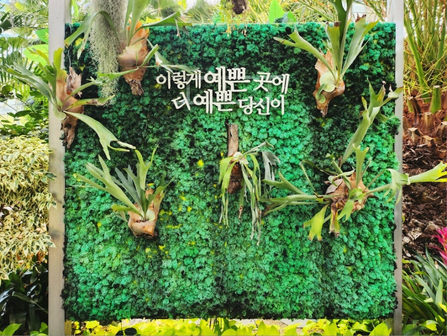 레인보우순카페 이미지