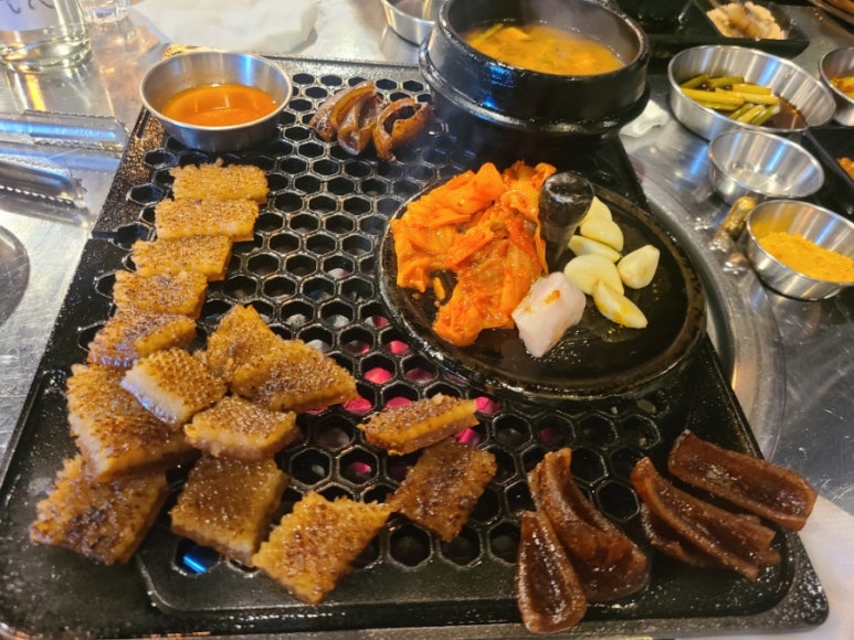 청춘껍데기 이미지