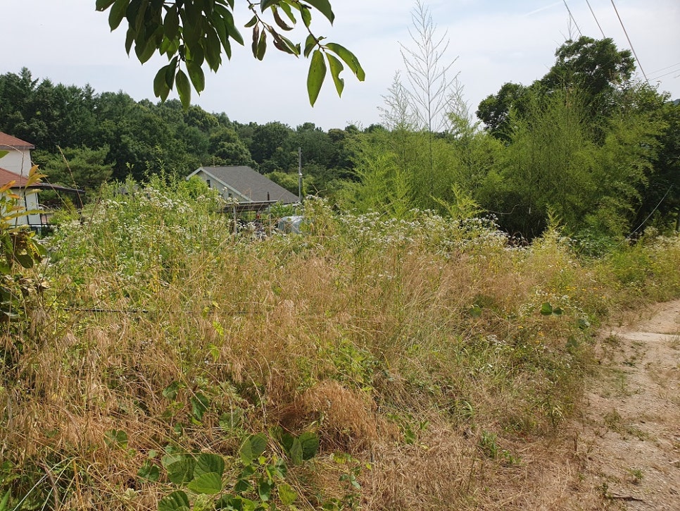 [국도1] 논산시 송정리 이미지
