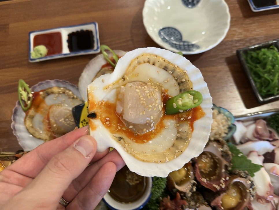평화로운집공주신관점 이미지