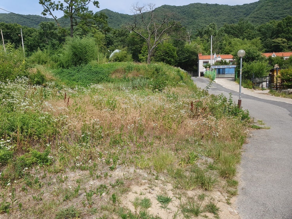 [국도1] 논산시 송정리 이미지
