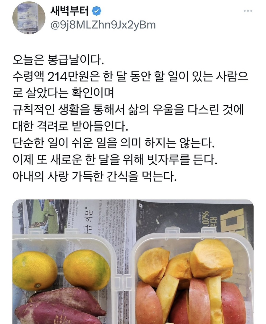 코모레비 이미지