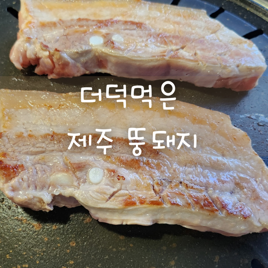 더덕먹은제주뚱돼지 이미지