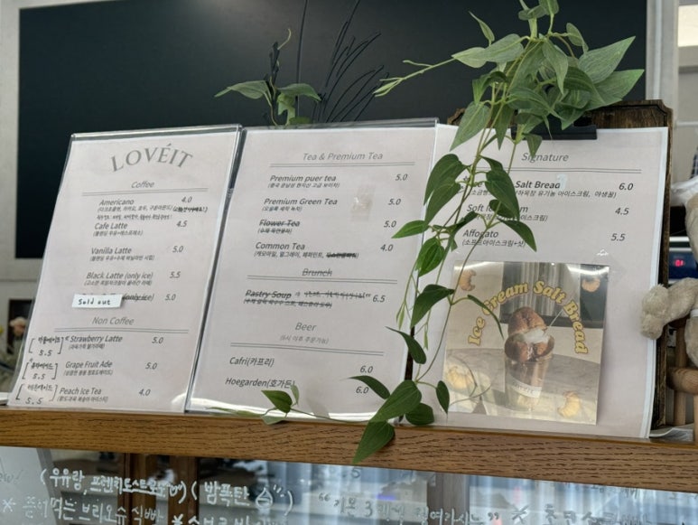 비비드순 이미지
