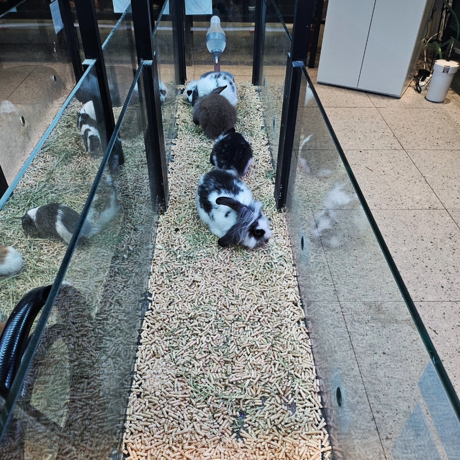 사계절아쿠아카페 이미지
