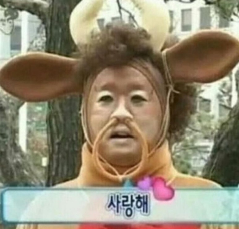 카코디 이미지
