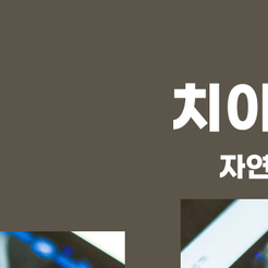 서울원플란트치과의원 이미지
