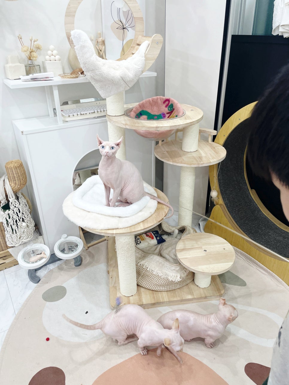 냥냠제작소 이미지