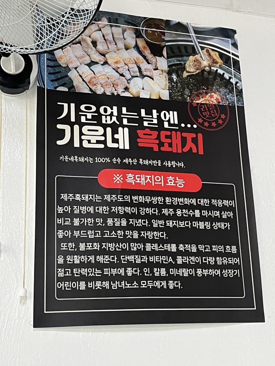 기운네흑돼지 이미지