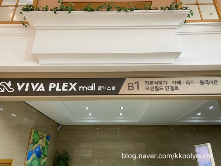 비바플렉스 이미지