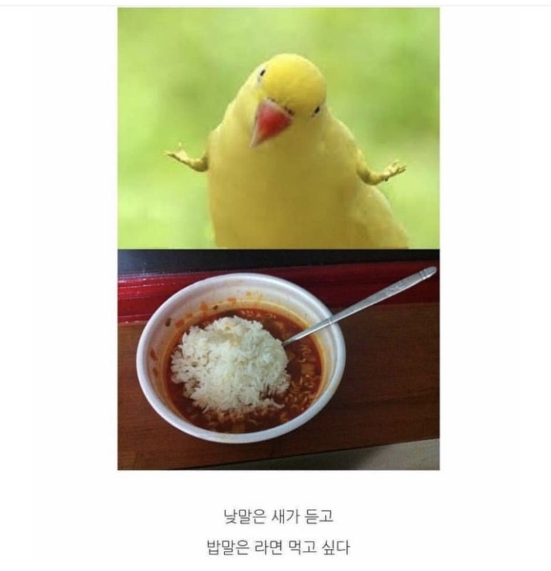 사잇집 이미지