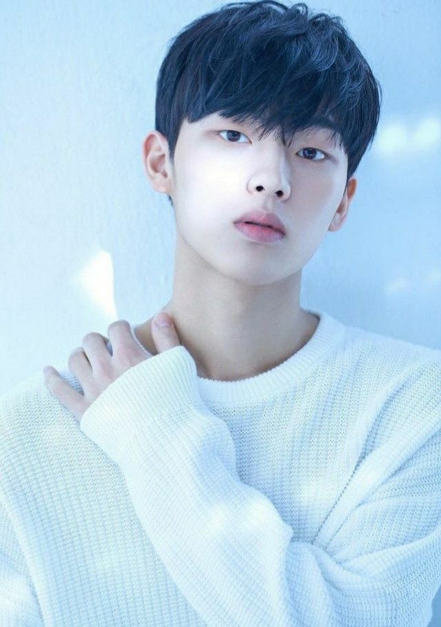 퍼블릭헤어 이미지