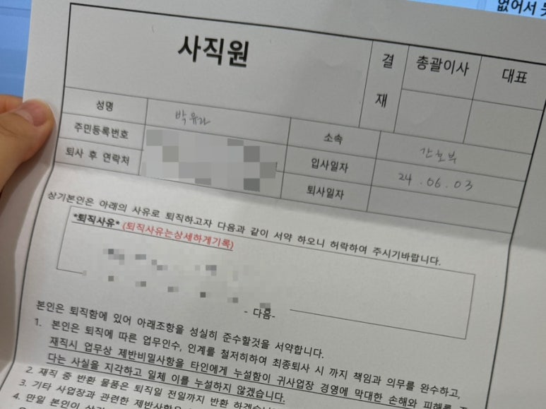 비비드순 이미지