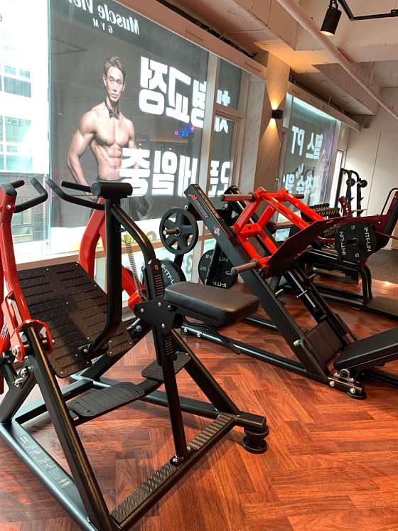 머슬뷰짐 이미지
