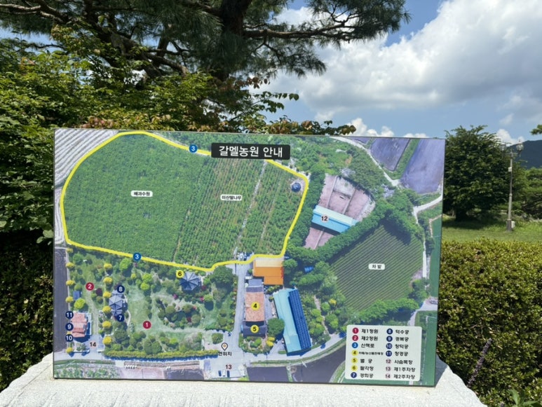 갈멜왕실의민박 이미지