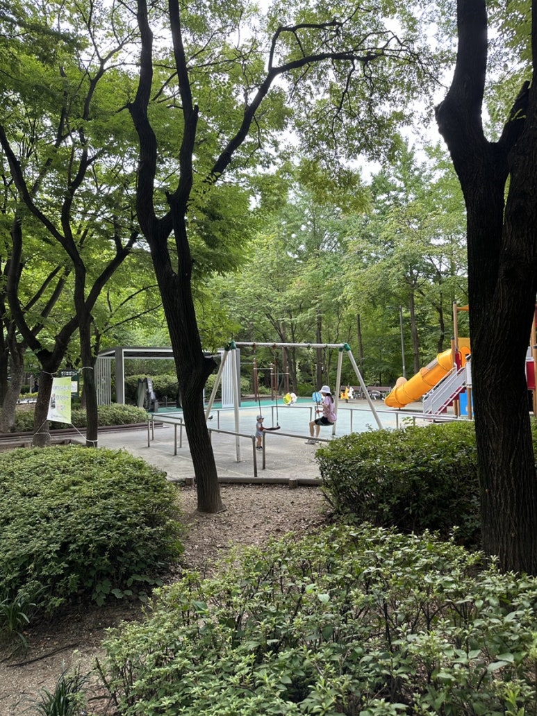 헤이드니 이미지