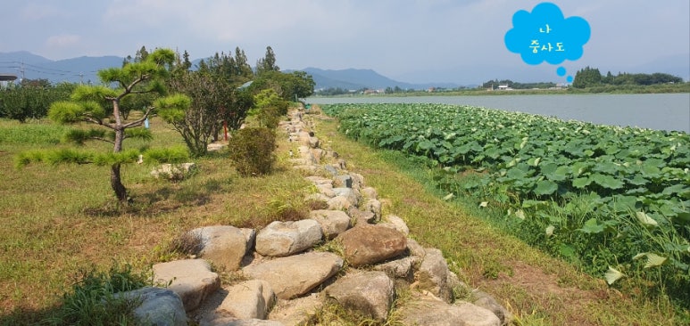 도도커피숍 이미지