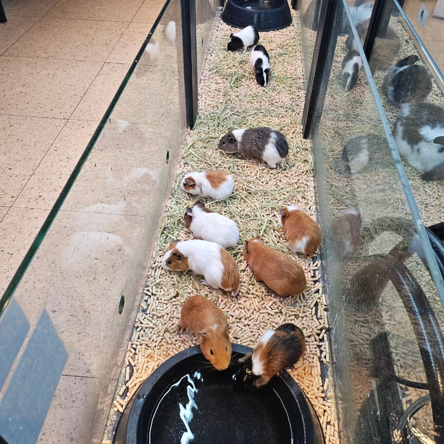 사계절아쿠아카페 이미지