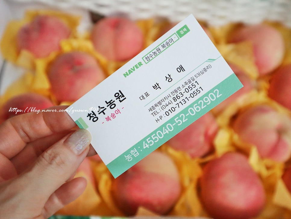 청수과일 이미지