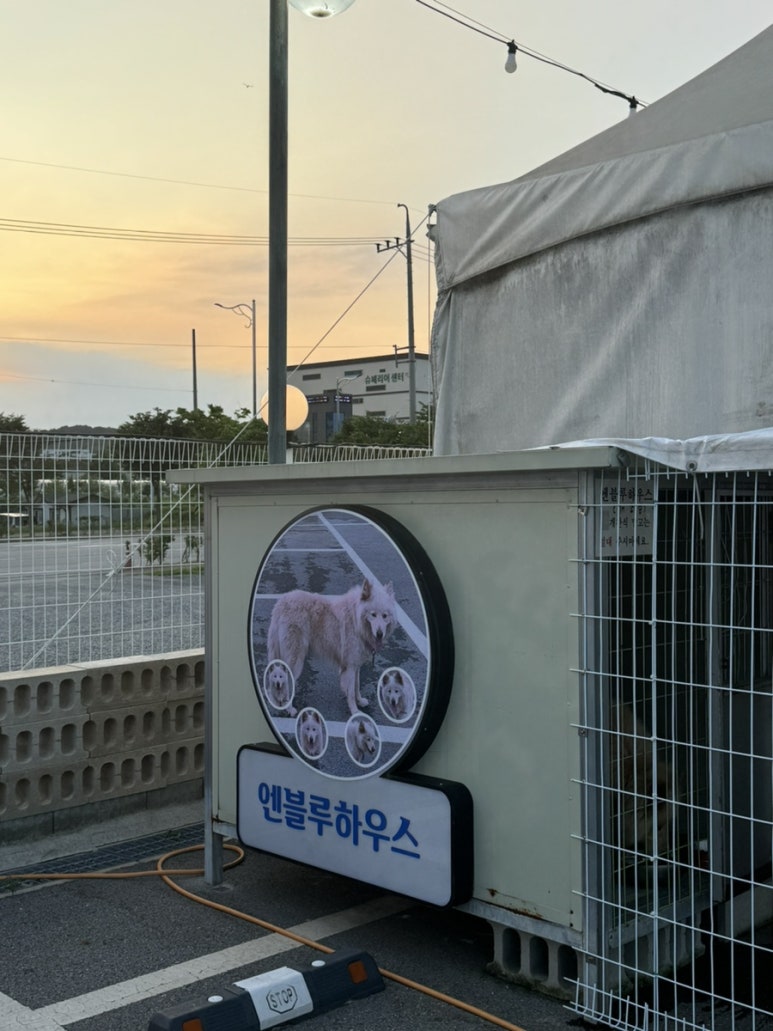 눈꽃소 이미지