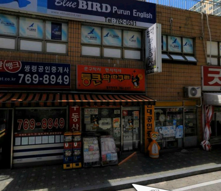 통큰딱따구리 이미지