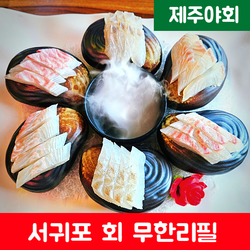 제주야회 이미지