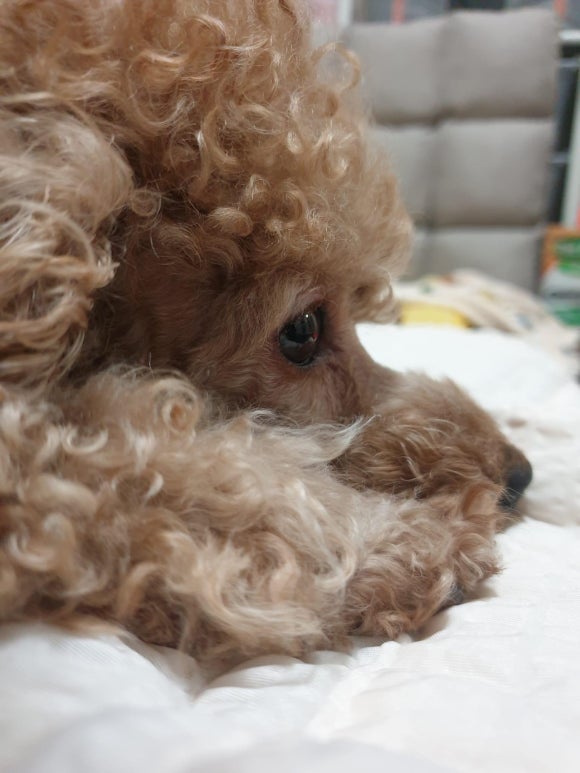 커피에반하다통영봉평점 이미지