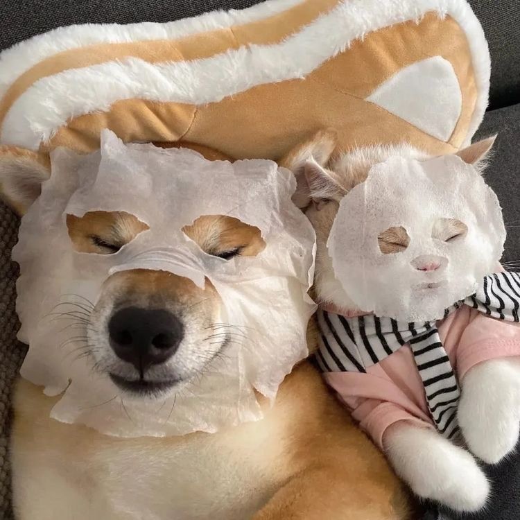 행운푸드 이미지
