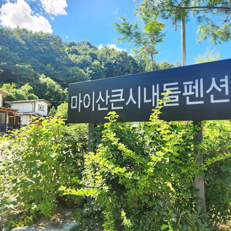 마령큰시내들캠핑장.펜션 이미지