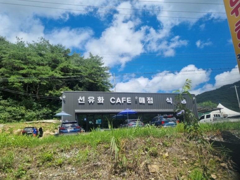 선유화카페 이미지